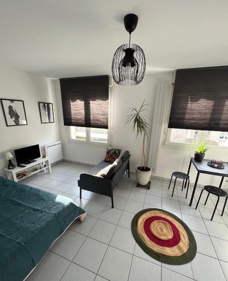 Zen-Itude Apartment Strasbourg Exterior foto