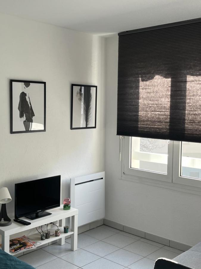 Zen-Itude Apartment Strasbourg Exterior foto