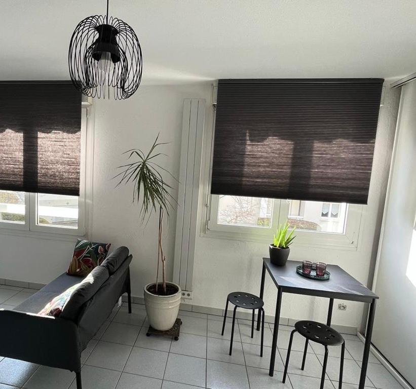 Zen-Itude Apartment Strasbourg Exterior foto